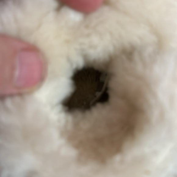 Toddler 4/5 UGGs in Excellent Condition. - Picture 7 of 11